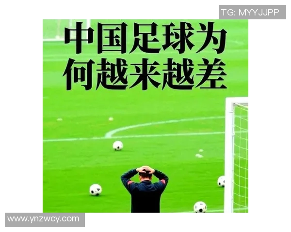 中国足球明星陆的崛起与挑战：从青训到职业生涯的奋斗历程