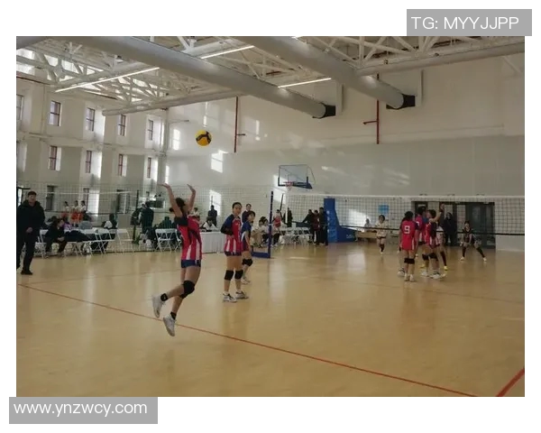 广州排球队在城市联赛中的团队协作展现出无与伦比的默契与实力