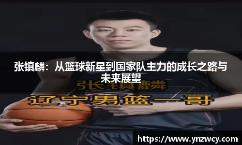 DB旗舰首页