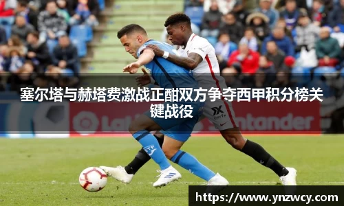 DB旗舰官网