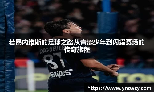 DB旗舰官网
