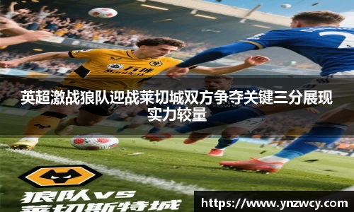 DB旗舰官网